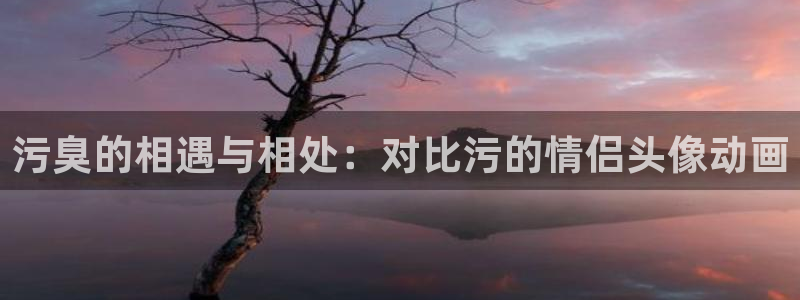 禁漫天堂jmcomic入口：污臭的相遇与相处：对比污的情侣头像动画